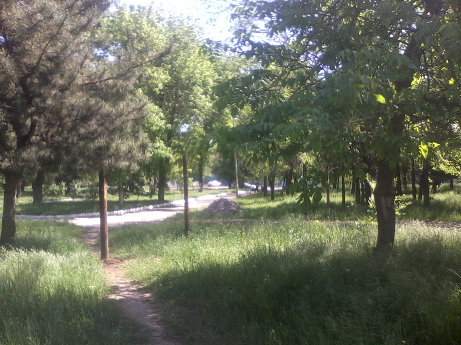 парк на Соцгороде (2)