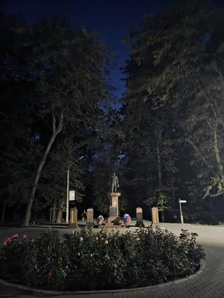 Новочеркасцы просят включить освещение в городской роще, где фонари установлены, но не работают