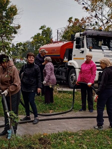 На аллее Славы в Новочеркасске высадили 50 клёнов и установили памятную табличку