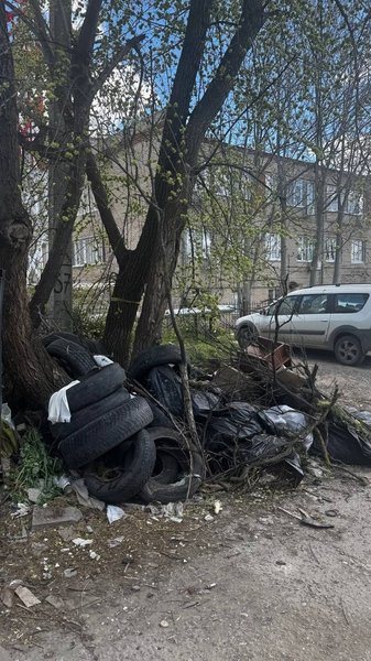 На контейнерной площадке на улице Скрябина накопился мусор и скошенная трава