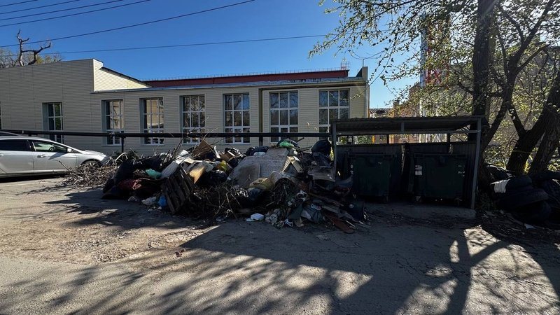Жители жалуются на состояние контейнерных площадок и свалку на Скрябина