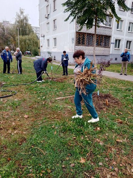 На аллее Славы в Новочеркасске высадили 50 клёнов и установили памятную табличку