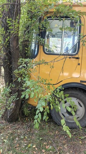 В Ключевом школьники остались без автобуса из-за конфликта водителя с родителем