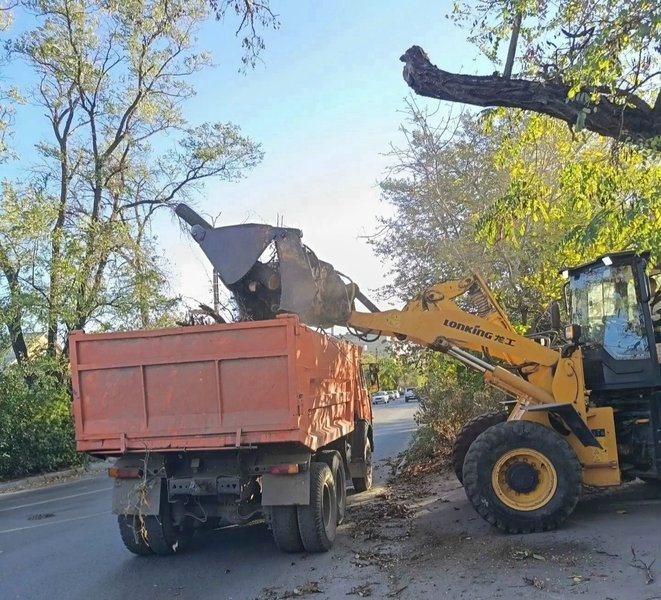 В Новочеркасске продолжается уборка веток, оставшихся после июльского урагана