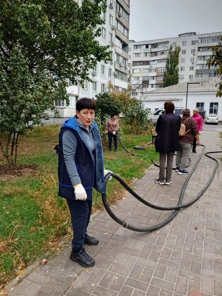 На аллее Славы в Новочеркасске высадили 50 клёнов и установили памятную табличку