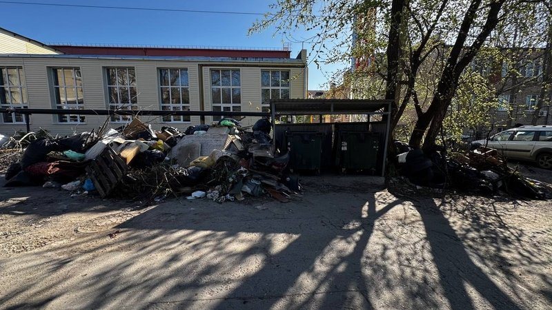 Жители жалуются на состояние контейнерных площадок и свалку на Скрябина