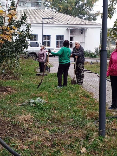 На аллее Славы в Новочеркасске высадили 50 клёнов и установили памятную табличку