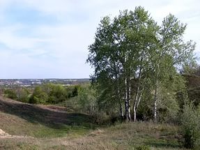 Новочеркасские полицейские раскрыли преступление 23-летней давности