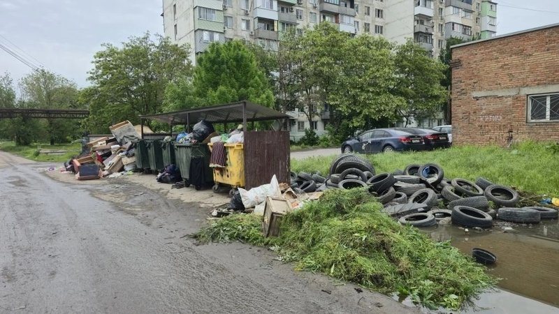 На улице Визирова, 13 обнаружили стихийную свалку, информацию передали в инспекцию