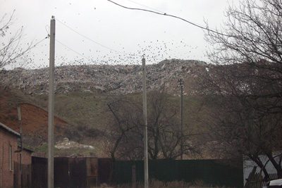 Рекультивация городской свалки начнется в 2014 году