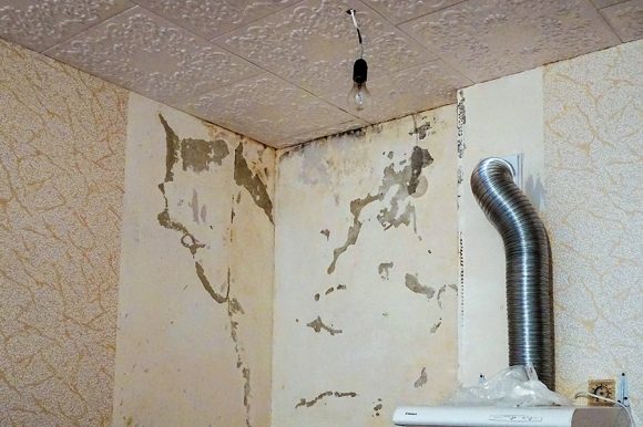 Как из бывшей столовой и сирот в Новочеркасске «варят» мыльную оперу