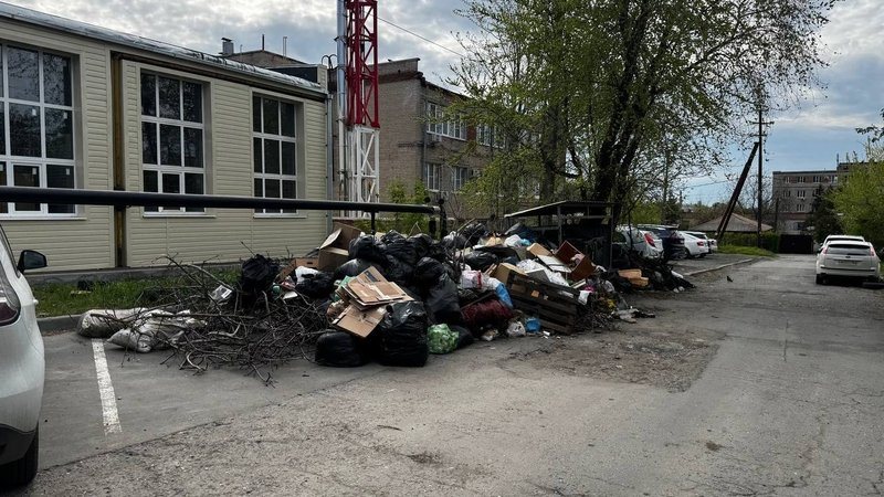 На контейнерной площадке на улице Скрябина накопился мусор и скошенная трава