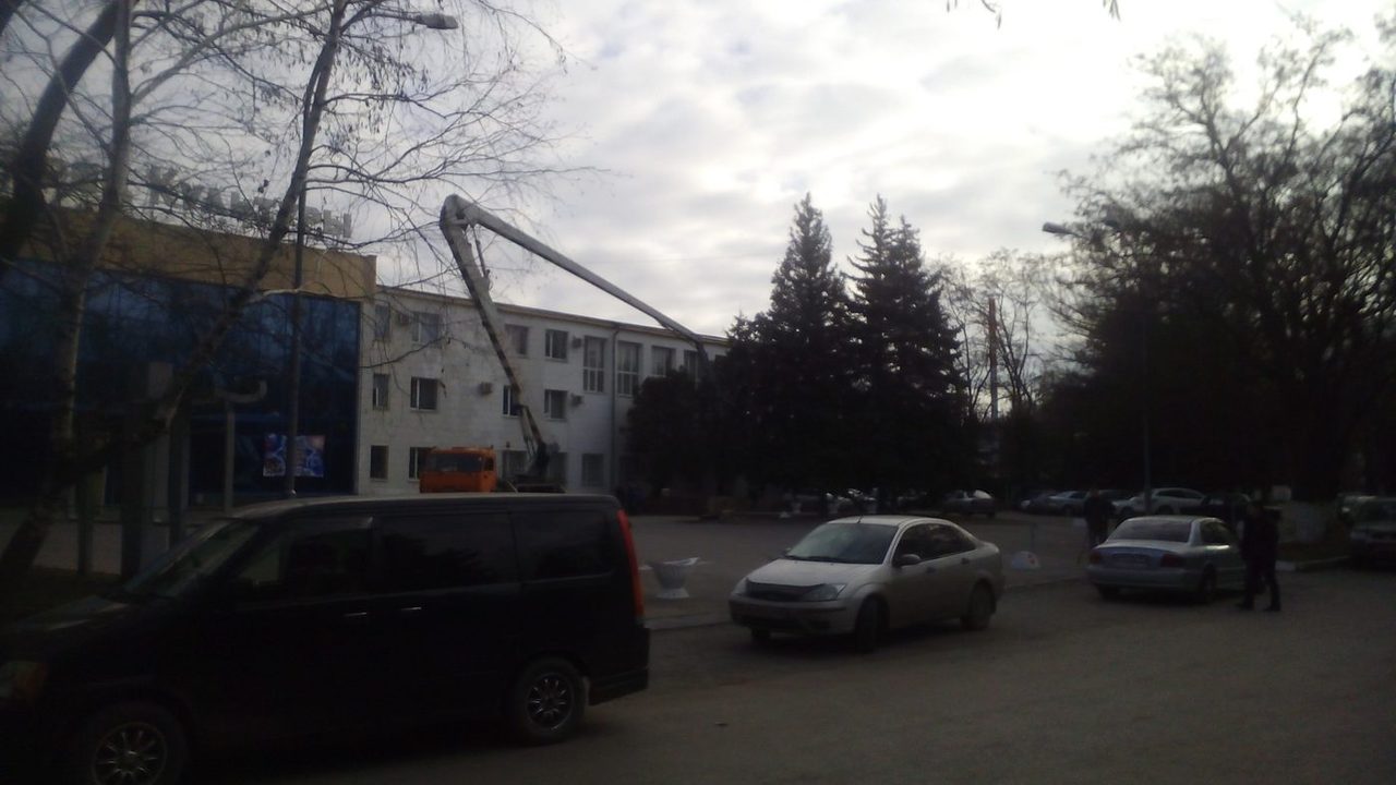 В Новочеркасске начали наряжать елки