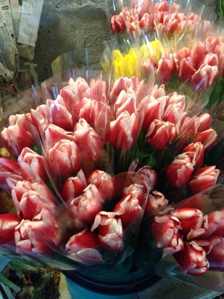 Цена на восьмимартовские цветы в Новочеркасске началась от 50 рублей
