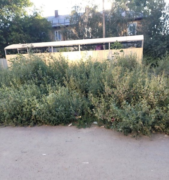 Подъезд к контейнерной площадке на Спортивной, 115 существенно затруднён