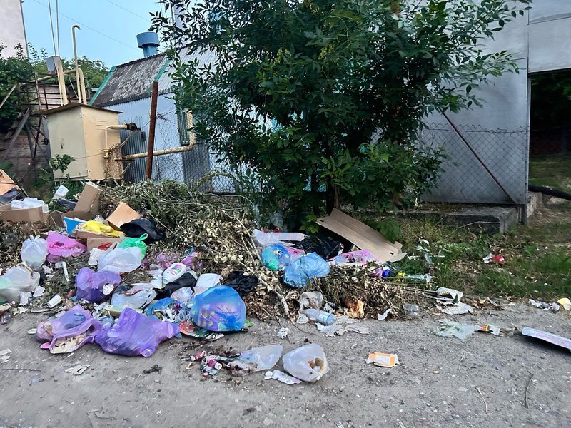 В центре Новочеркасска за общежитием на улице Атаманской, 42 с апреля не убирают стихийную свалку