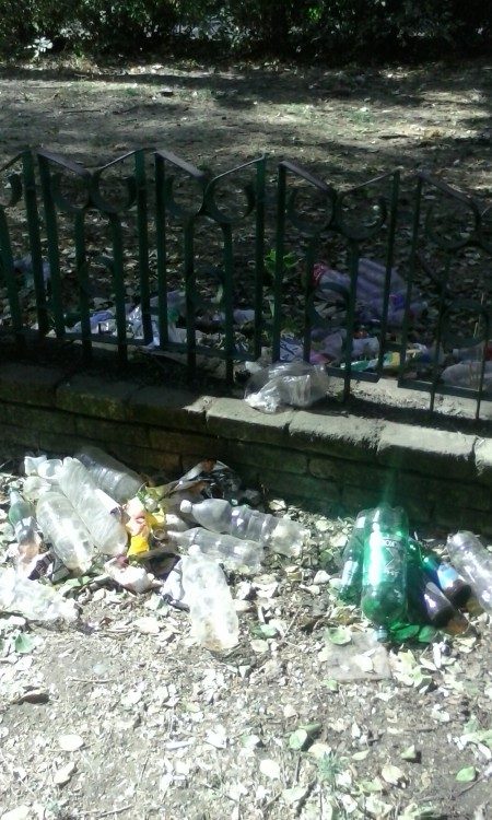 Жительница Новочеркасска просит мэрию навести порядок на детской площадке