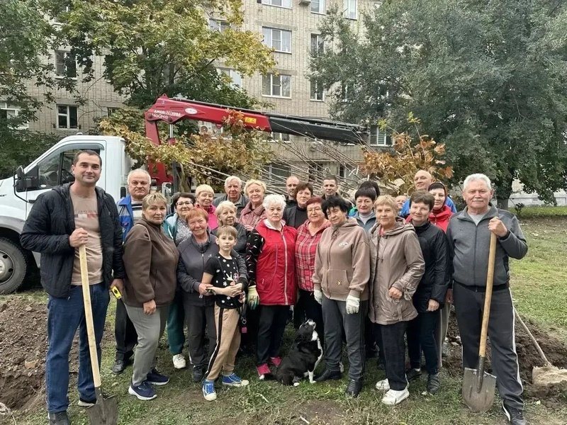 На аллее Славы в Новочеркасске высадили 50 клёнов и установили памятную табличку