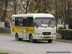 hyundai_county_swb-_10539