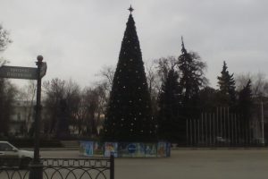 Почти во всех микрорайонах Новочеркасска есть свои новогодние елки