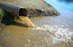 Новочеркасский Водоканал загрязняет реки Тузлов и Аксай